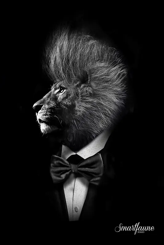 绅士般的狮子