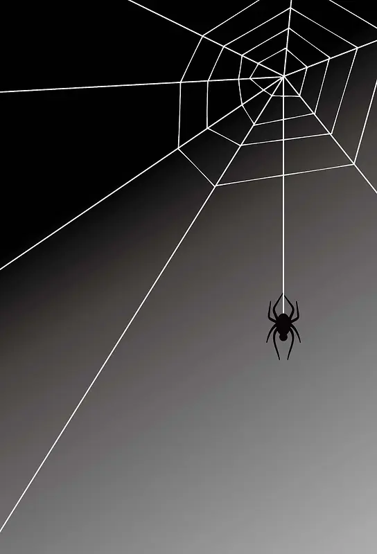黑色蜘蛛网背景素材