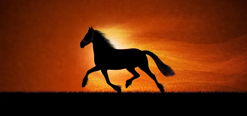 夕阳下奔跑的马匹