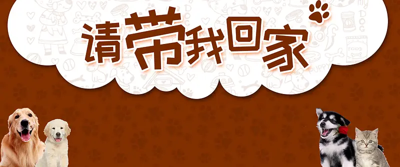 宠物领养卡通可爱banner