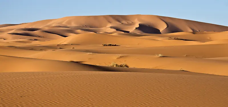 荒芜大漠