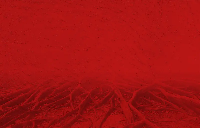 红色树根纹理背景