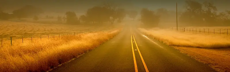 雾霾的道路背景