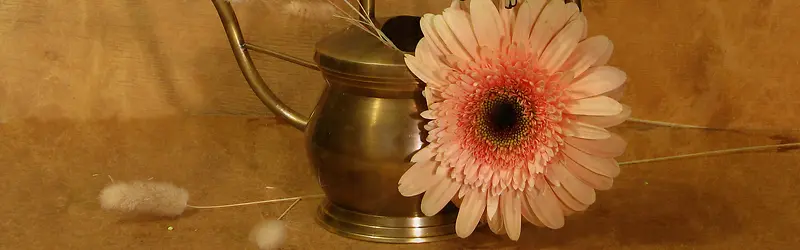 瓷器艺术花卉摄影图片