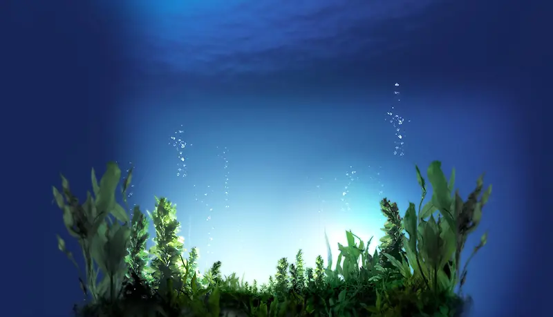 夏日清凉海藻蓝色背景素材