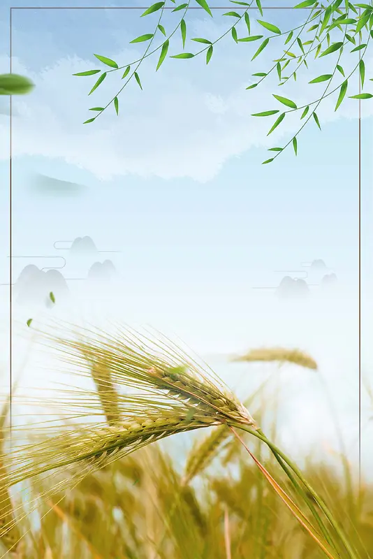 二十四节气之小满宣传海报