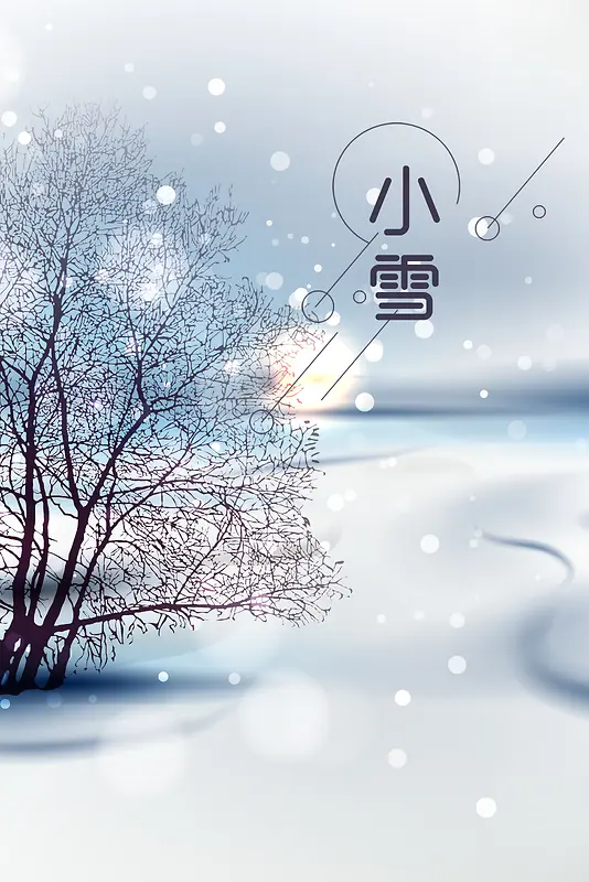简约白色二十四节气中国风小雪节气海报