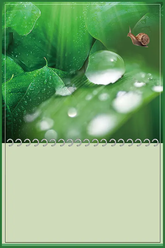 绿色简约二十四节气谷雨海报