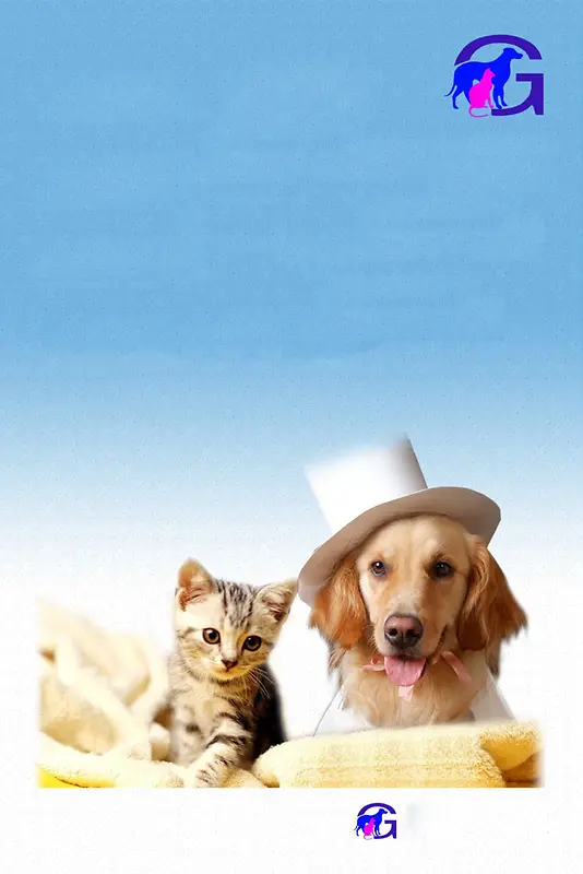 宠物健康护理广告背景