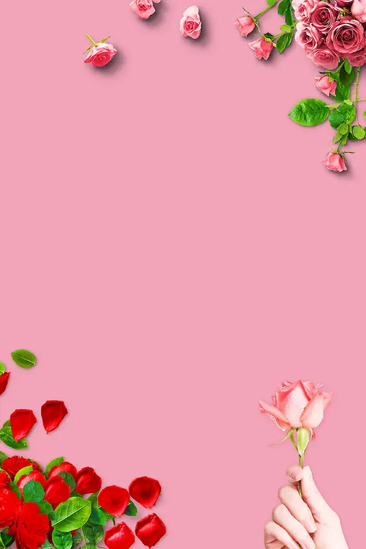 玫瑰简约情人节粉色背景