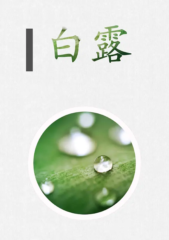 白露 二十四节气节日