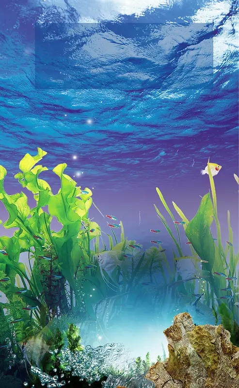 补水保湿化妆品蓝色水藻海报背景素材