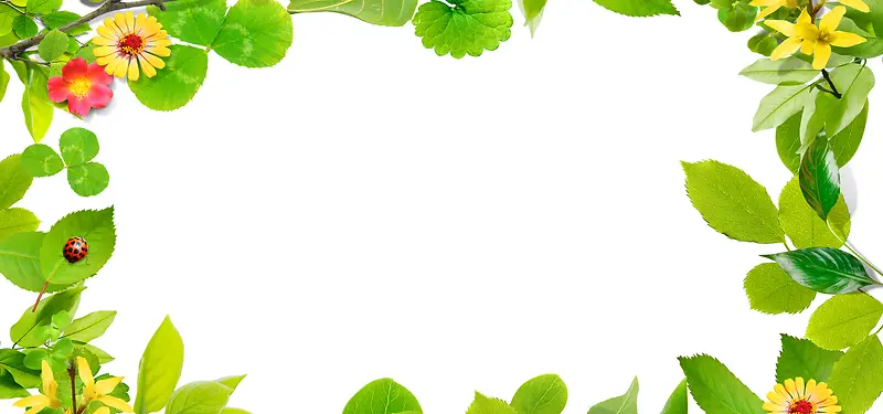 边框树叶简约绿色banner背景