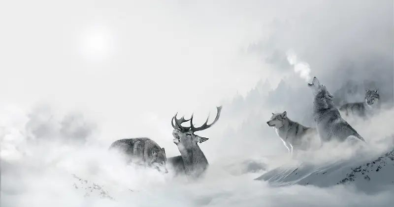 雪原动物主题背景素材