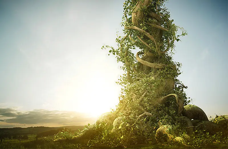 绿色植物魔幻素材背景图