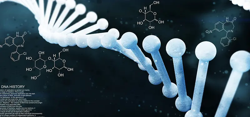DNA分子结构图