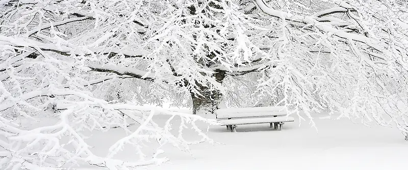 唯美公园冬日雪景风景海报背景图
