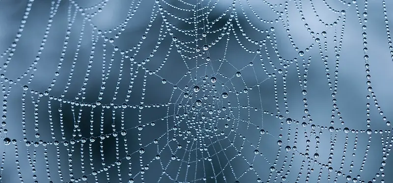 蜘蛛网水滴海报素材