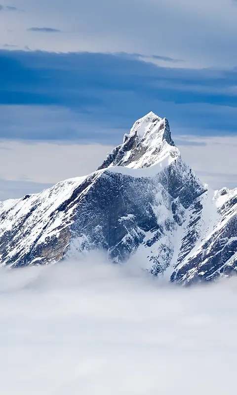 雪地   H5背景