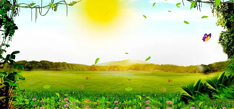 春天景色太阳森林草地绿banner
