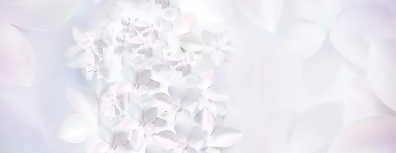 美妆梦幻白色花亮晶晶白色背景