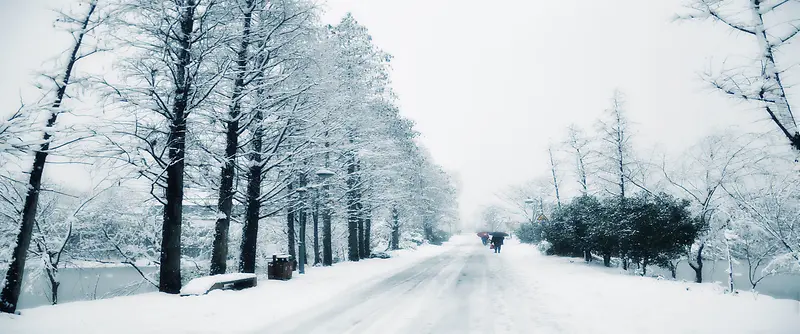 唯美冬天树干雪景海报背景图