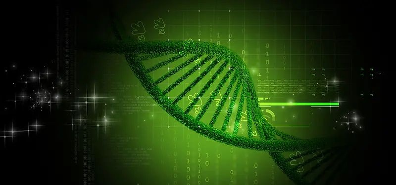 基因转基因科技绿色海报背景