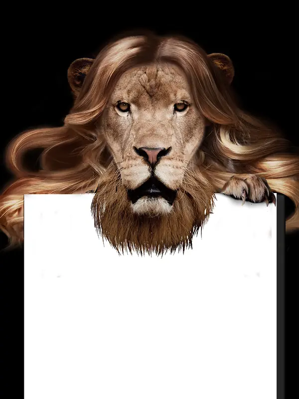 创意狮子美容美发宣传海报背景素材