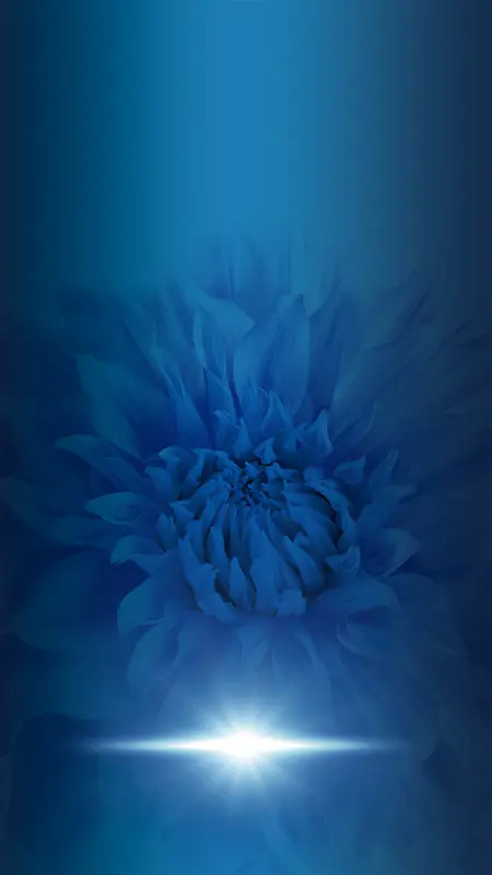 大气蓝色花朵高贵酒化妆品背景素材