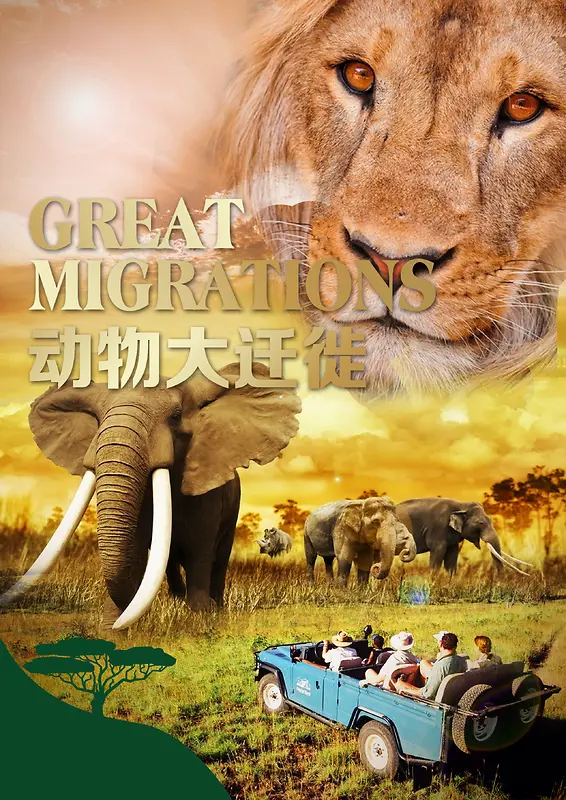 动物大迁移旅游海报背景素材