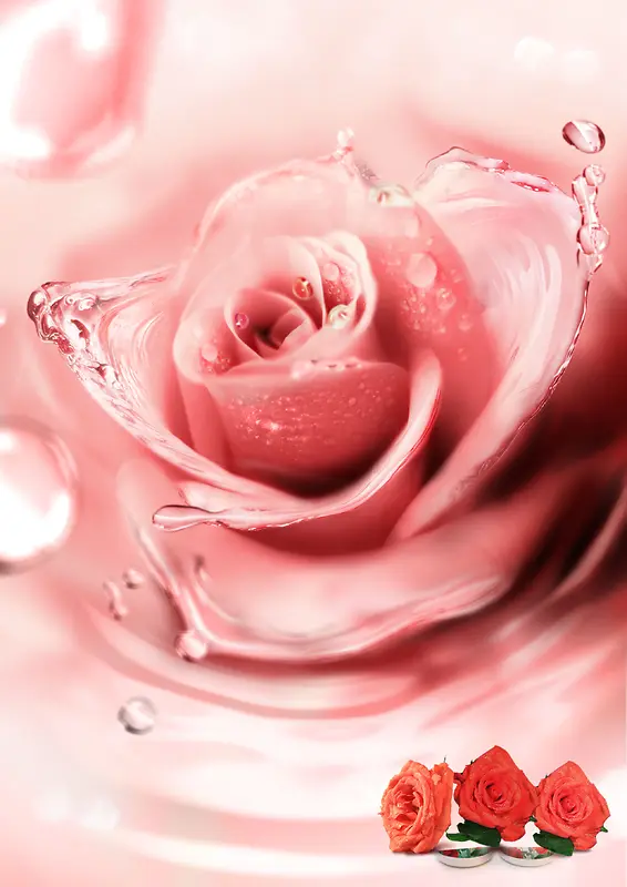 粉色牡丹花卉海报背景
