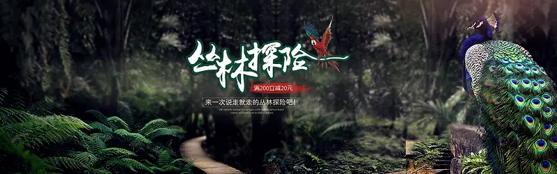 丛林背景