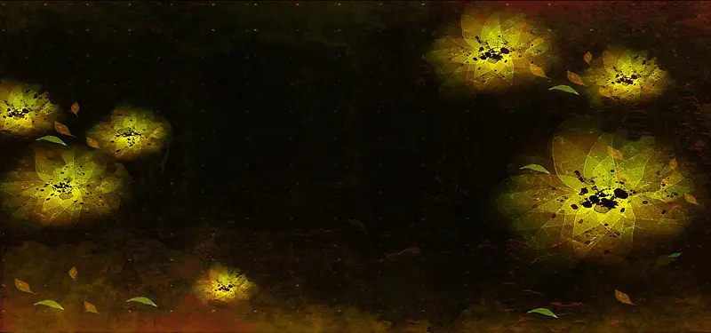 韩国花朵花瓣banner背景