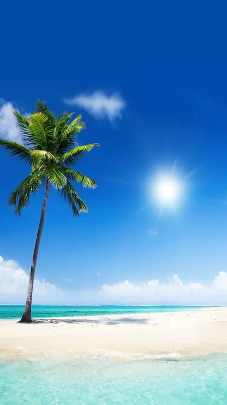 沙滩上的椰子树H5素材背景