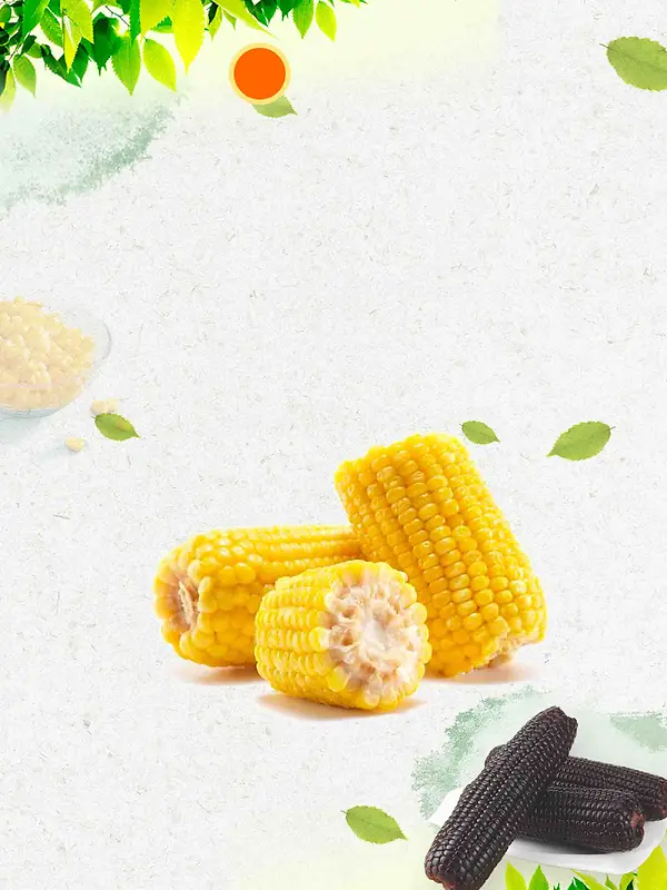 有机蔬菜玉米海报背景模板