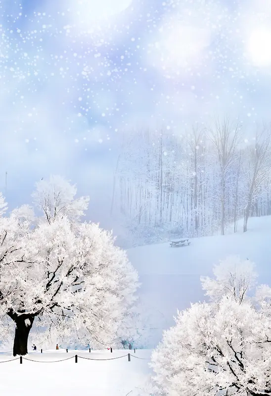 冬季雪花树木白色浪漫海报背景