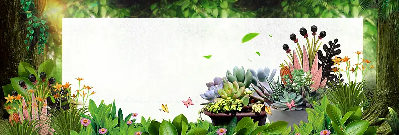 绿色森林花草多肉绿植淘宝多肉banner