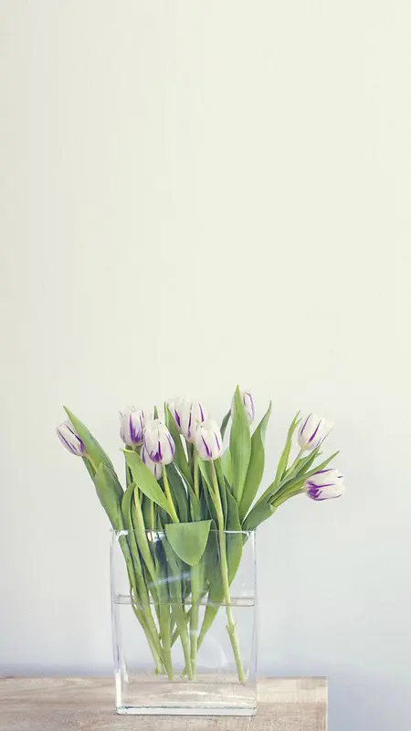 紫色花卉H5背景