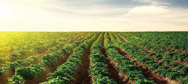 清新背景