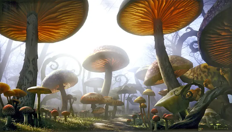 魔幻童话蘑菇背景