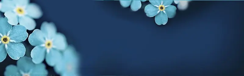 海军风背景banner