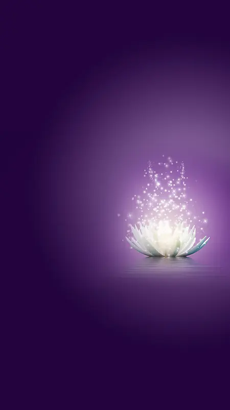 白色发光莲花H5紫色背景