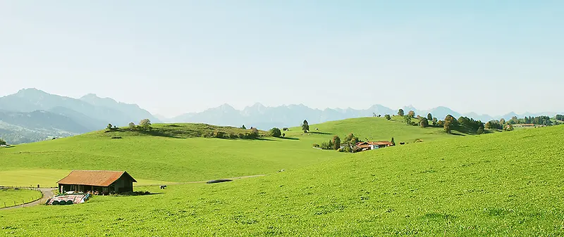 绿色田园背景