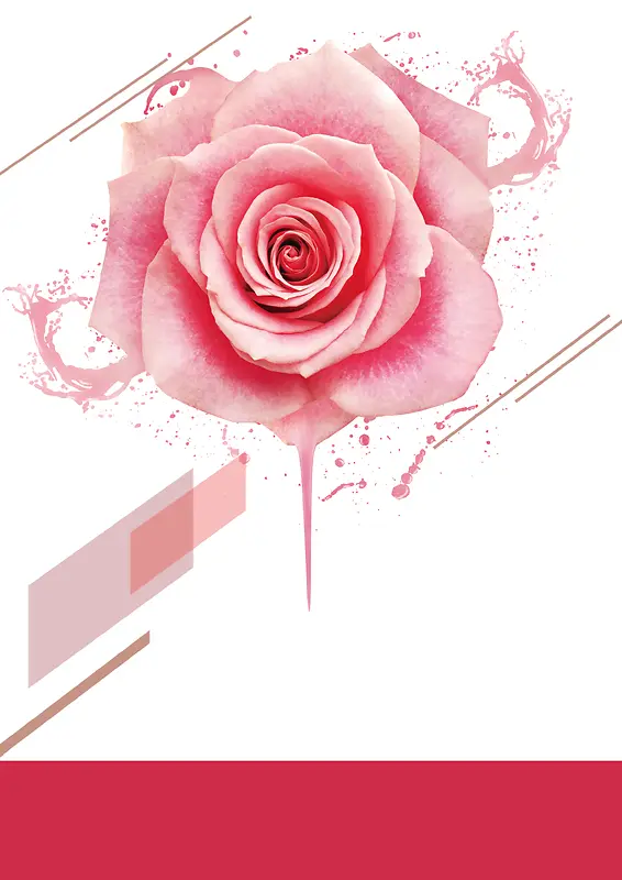 粉色玫瑰海报背景图