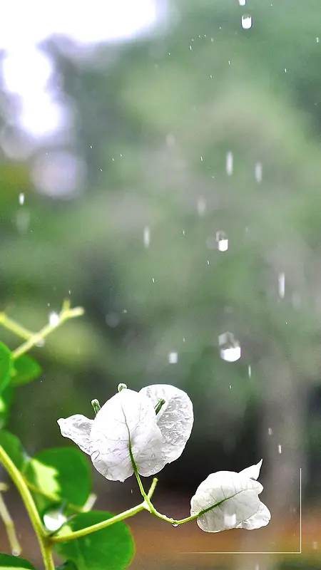 梅雨时节下雨天清新H5背景素材