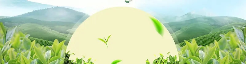 绿茶清新绿色banner