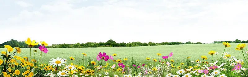 简约大气田园海报背景