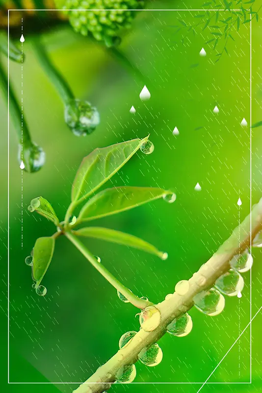 小清新二十四节气谷雨PSD素材