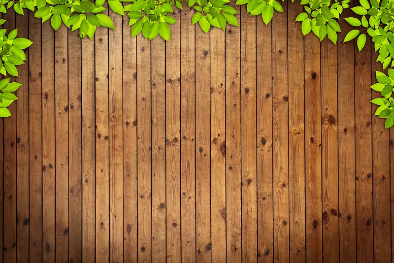绿叶边框木板背景