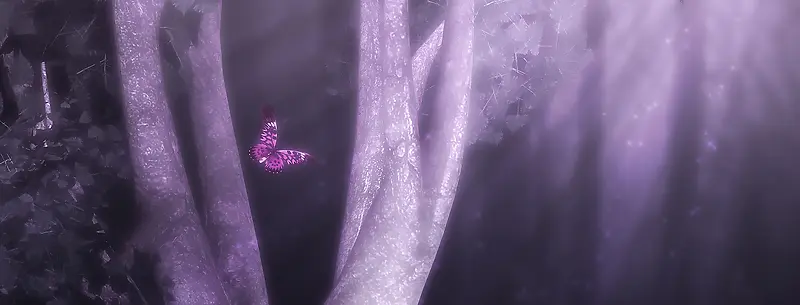 浪漫粉紫蝴蝶背景